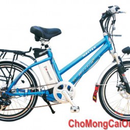 Xe đạp điện TDH213Z(20)