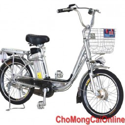 Xe đạp điện TDN208Z(20)