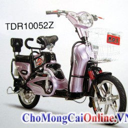 Xe đạp điện bình 48V, bánh 18, tốc độ tối đa 35Km/h (TDR10052Z)
