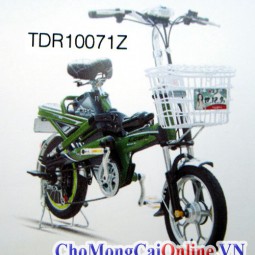 Xe đạp điện bình 48V, bánh 14 (TDR10071Z)