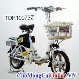 Xe đạp điện bình 48V, bánh 16, tốc độ tối đa 35Km/h (TDR10073Z)