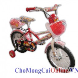 Xe đạp trẻ em xd-002