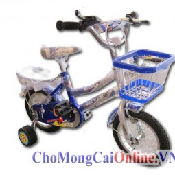 Xe đạp trẻ em xd-001