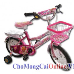 Xe đạp trẻ em xd-005