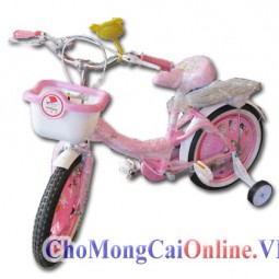 Xe đạp trẻ em xd-006