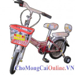 Xe đạp trẻ em xd-011