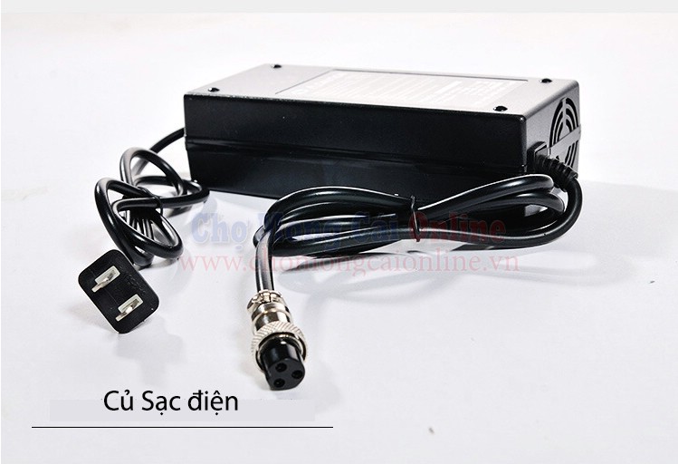 xe dien mot banh cao cap XD1003 07