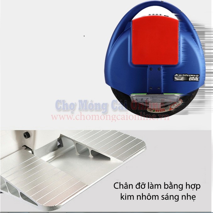 xe dien mot banh cao cap XD1005 02